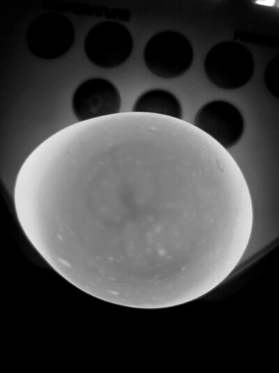 20250208_214431.jpg