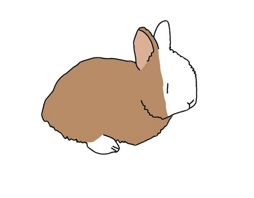 2024_08_16_0wh_Kleki-removebg-preview.png