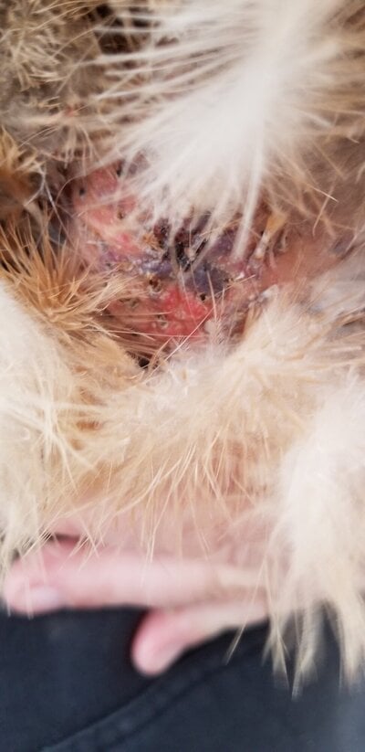 IMG_2311.jpeg