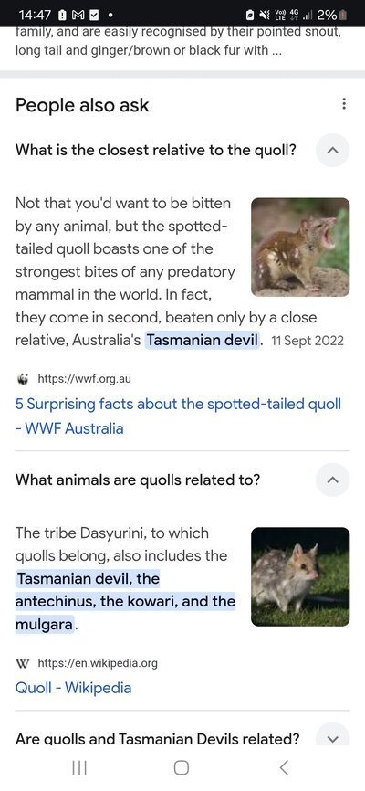 Screenshot_20250211_144707_Chrome.jpg