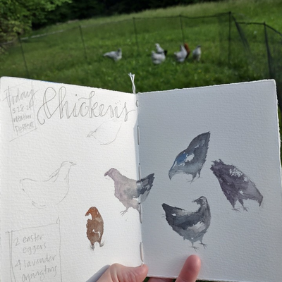 Chickens!.png