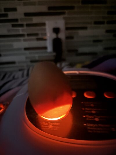 IMG_8805.jpeg