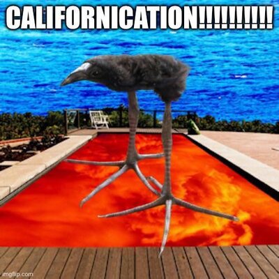 CALIFORNICATION!!!!!!.jpeg