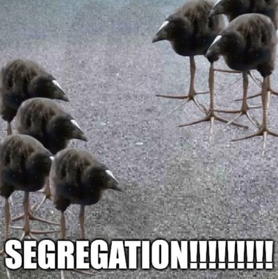 SEGREGATION!!!!!!.jpeg