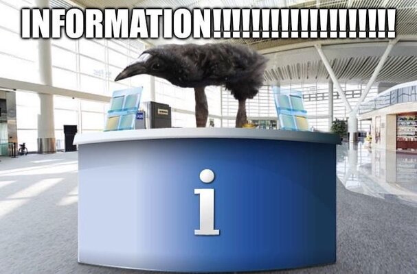 INFORMATION!!!!!.jpeg