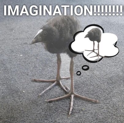 IMAGINATION!!!.jpeg