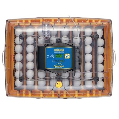 Brinsea Ovation 56 EX Connect_4.jpg
