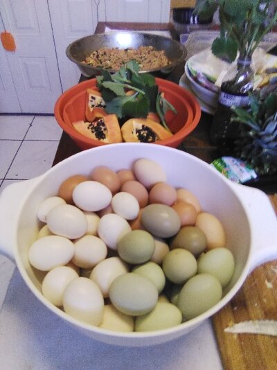 Eggs and beneficial fruits and herbs.jpg