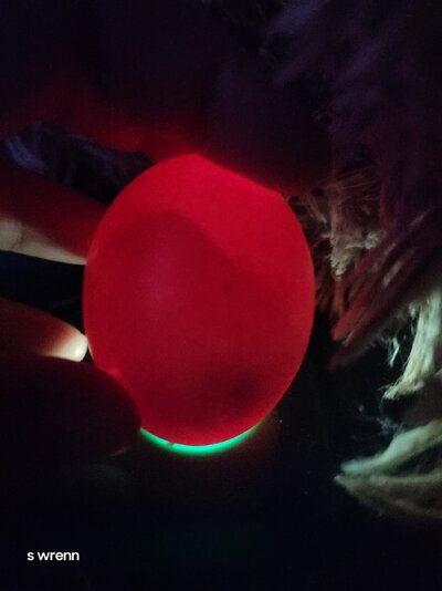 20250221_100103.jpg