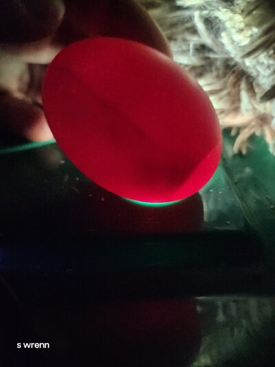 20250221_095858.jpg