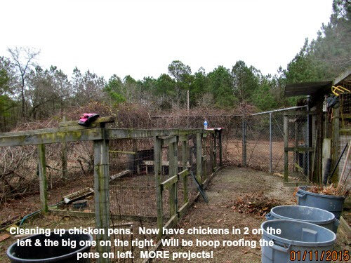 15jan11house881.jpg