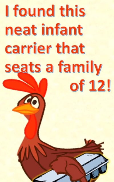 Just started raising chickens? What breed do I start with? From hatching eggs to chicks to hybrids from pullets, Today, we will find out what to do!