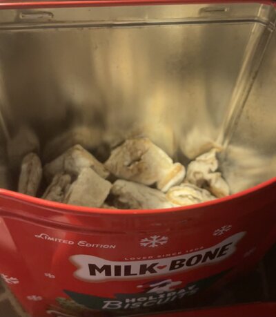 IMG_0085.jpeg