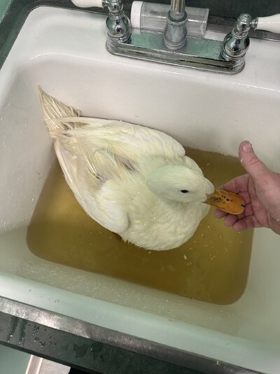 IMG_2837.jpeg