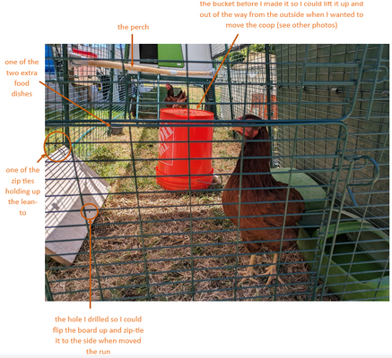 annotated photo of the lean-to perch extra food dish.PNG