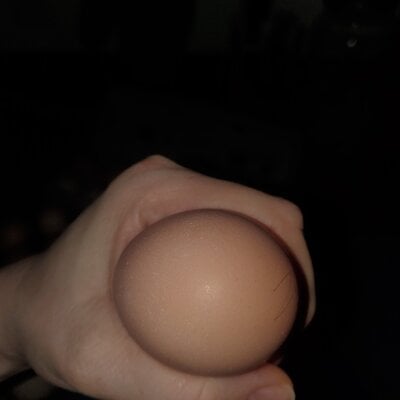20250225_220133.jpg