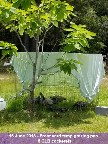 20180616_130518.jpg