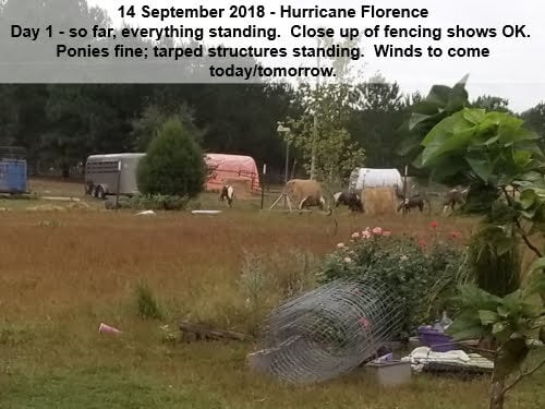180914_075005b.jpg