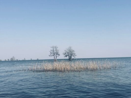 IMG_3496.jpg