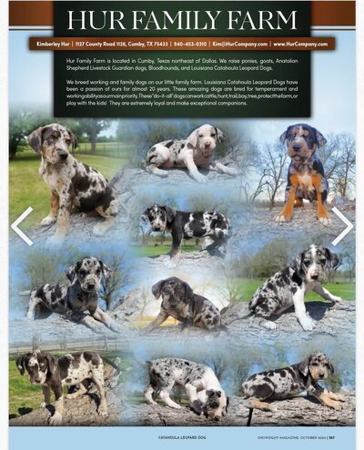 Hur Family Farm Showsight Magazine.jpg