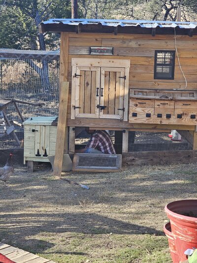 Brooder Build_Hubby inside.jpg