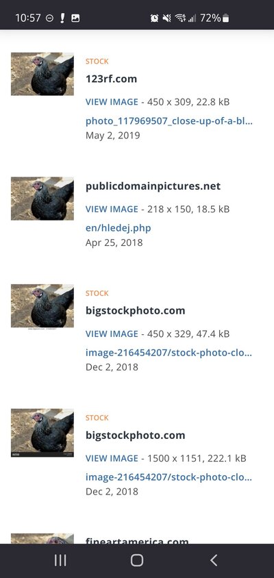 Screenshot_20250309-105724_Firefox.jpg