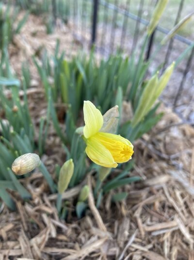 IMG_8378.jpeg