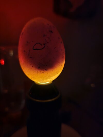 20250314_213858.jpg