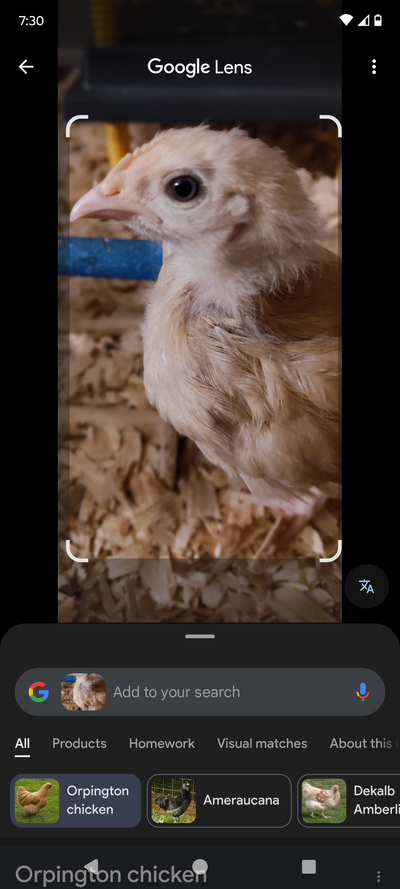 Screenshot_20250315-073039.png