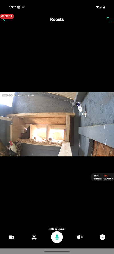 Screenshot_20250316-125713.png