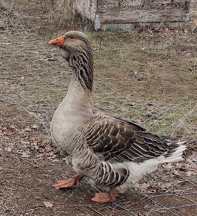 IMG_20250316_110451274_HDR.jpg