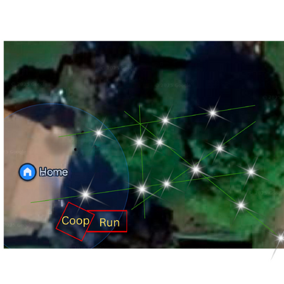 Coop_20250320_050109_0000.png