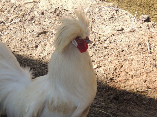 DSCN4614.JPG