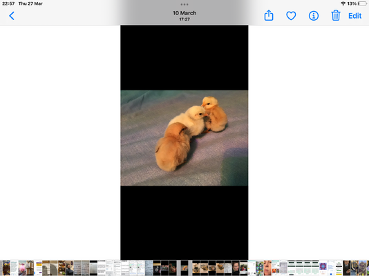 C0F7FE10-BBA0-4E7F-B475-3E658235A16F.png