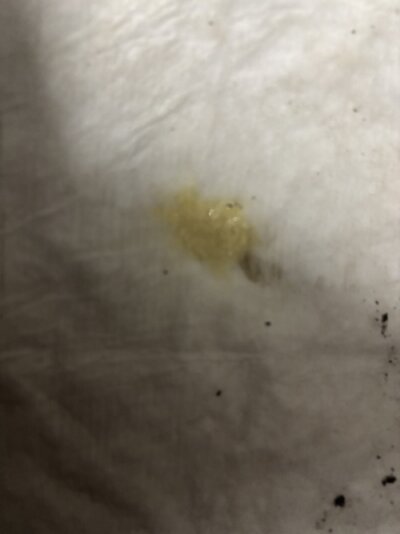 IMG_5198.jpeg