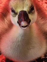 20250330_121525.jpg