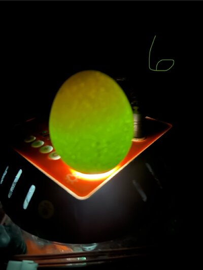 E949C9EF-6DB7-4FCE-BCB9-7F66D84C86D8.jpeg