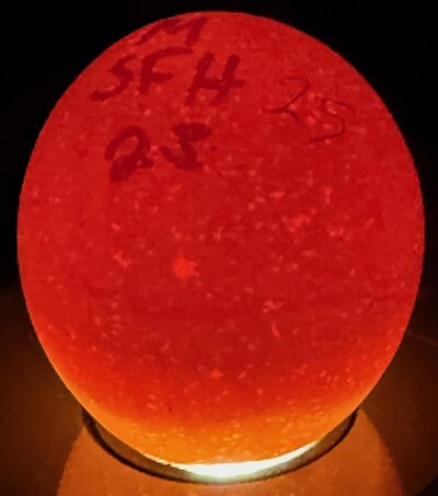 Egg 25 - D5.jpeg