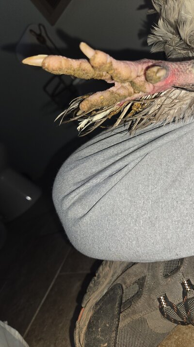 Snapchat-1035560239.jpg
