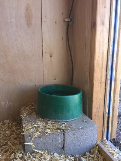 Chicken coop electrical 2.JPG