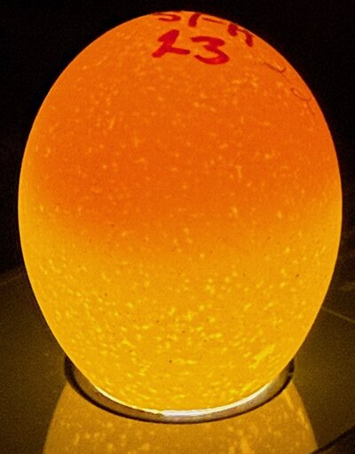 Egg 22 - D6.jpeg
