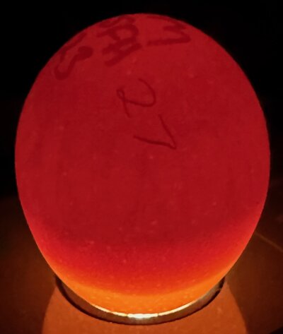 Egg 27 - D6.jpeg