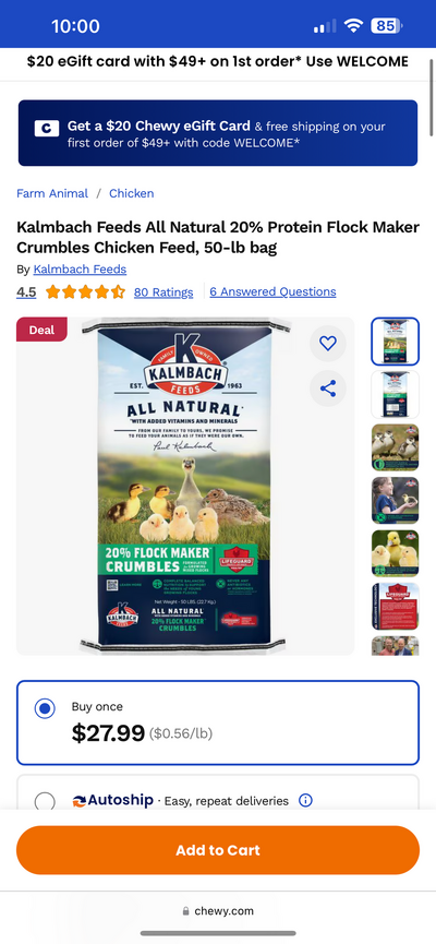 IMG_4446.png