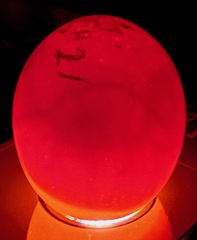 Egg 21 - D8.jpeg