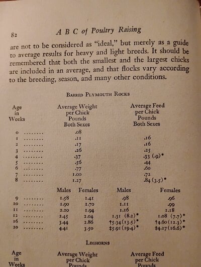 How Much Chicks Eat - Chicken Budgeting