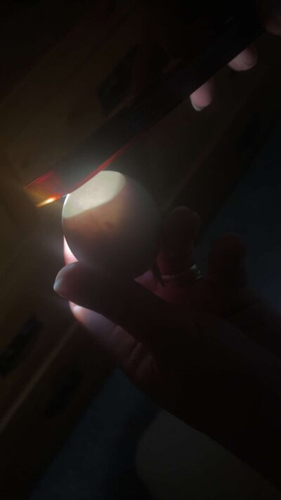 IMG_5710.jpeg