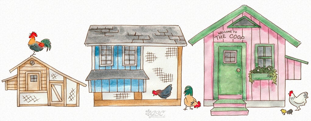 Why coop height matters and the benefits of a taller coop