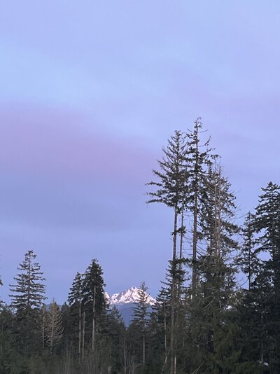 IMG_7278.jpeg