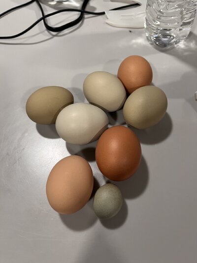 19739B69-DF5B-4F84-A35E-15B5DD1EC4D0.jpeg