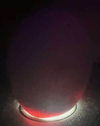 Egg 27 - D15.jpeg
